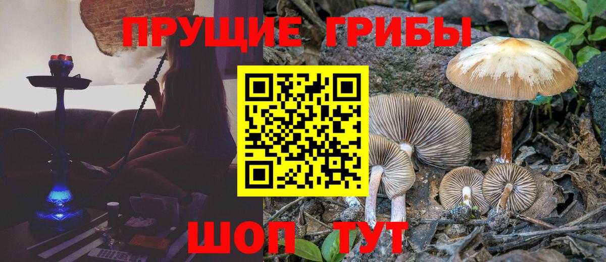 Галлюциногенные грибы Magic Shrooms  Вход с VPN  Псилоцибиновые грибы GOLDEN TEACHER  Нижневартовск 
